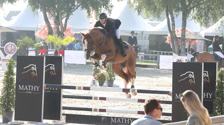 Trouble Balou FDV met Joy Fonck in het zadel