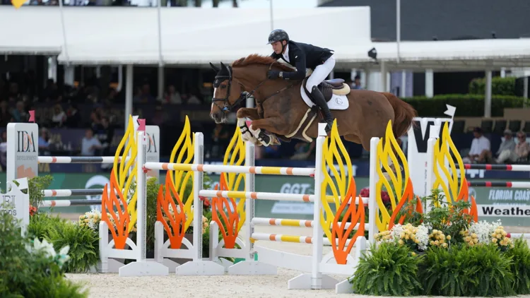 Louis Le Grelle opnieuw op het podium met New Life van het Hellehof