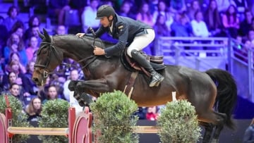 Benoît Cernin et Dynamite du Miral ont remporté le Grand Prix du Grand National de Lyon cet après-midi.