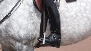 Le chaussant d’équitation, botte ou mini-chaps, constitue un élément incontournable de la panoplie du cavalier. 