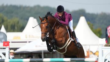 En plus de Vertigo du Désert, Luciana Diniz peut compter sur Lighthouse Girl pour concourir à l’international.