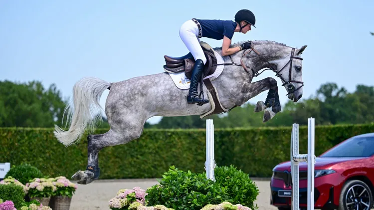CORNA ROUGE PS Een zes jarige merrie bij Cornet Obolensky, met uitzonderlijk talent en een fantastische pedigree, uit een van de sterkste prestatie moederlijnen van Duitsland.