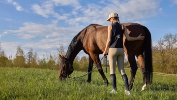 La marque Kingsland a été la première de la filière à avoir proposé un legging d’équitation pour la France, la Belgique et le Luxembourg.