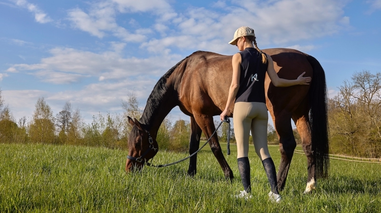 La marque Kingsland a été la première de la filière à avoir proposé un legging d’équitation pour la France, la Belgique et le Luxembourg.