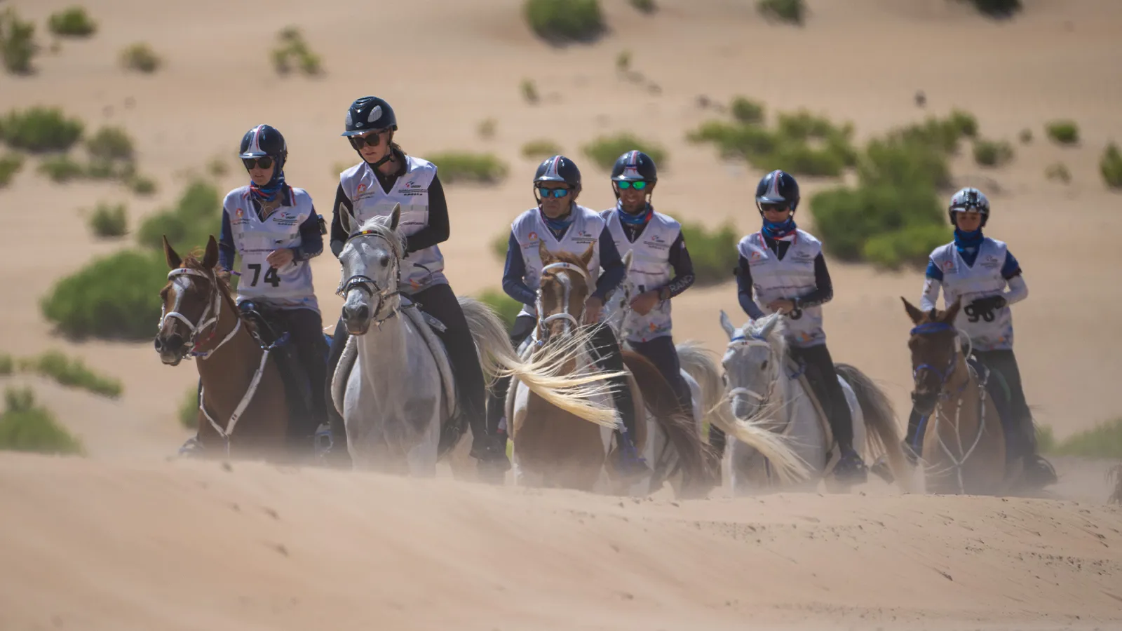 L&rsquo;&eacute;quipe de France d&eacute;clar&eacute;e championne du monde &agrave; la suite d&rsquo;une d&eacute;cision du tribunal de la FEI