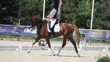 Diogo Pinto et Versailles du Jade ont décroché la troisième place dans le championnat Cycle Classique quatre ans grâce à une note de 86,4% sur la finale et une note de modèle de 15,8.