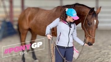 Comment désensibiliser un cheval, avec Stéphanie de PonyCorn