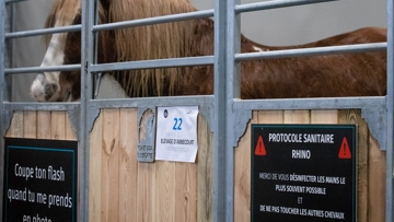 Des pancartes de prévention avaient été installées sur les boxes du Salon du cheval de Paris, à titre préventif.