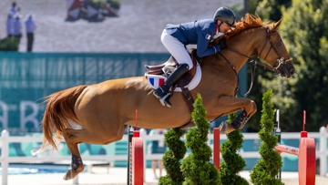 Dubaï du Cèdre s’est imposée comme l’une des principales porte-drapeaux du Selle Français en 2024