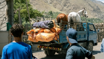 Les chevaux d’Izhar Ali Khan et leurs équipements en route pour Shandur
