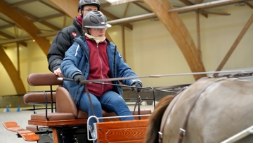 De meneurs de tous les âges se sont successivement réunis à Lamotte-Beuvron.