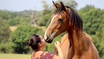 Établie en Mayenne, Amélie Tek n’a pas tardé à briller avec ses chevaux d’Amko.
