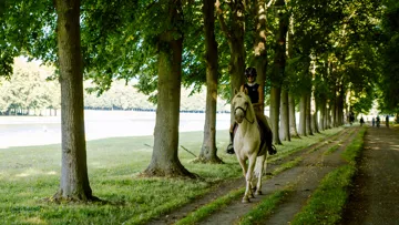 La filière équine est aujourd’hui confrontée à des multiples enjeux, et son avenir est conditionné par de multiples facteurs.