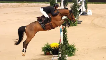 Rik Hemeryck a imposé Navarro van het Eelshof ce soir à Stuttgart