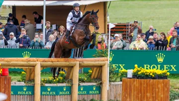 À dix-huit ans, Chipmunk*fischer a déjà participé à sept grands championnats sous la selle de l'Allemand Michael Jung.