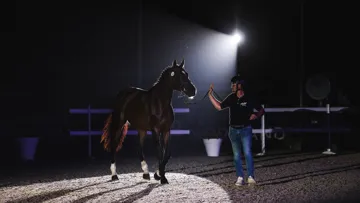 Hier, Kelmage Kalone a été adjugé à 1,1 million d'euros, établissant un nouveau record pour les ventes Fences