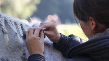 Le programme Erasmus + rencontre de plus en plus de succès chez les élèves de l’enseignement agricole qui, grâce à ses financements, ont l’opportunité d’aller compléter leur formation à l’étranger à moindre coût.