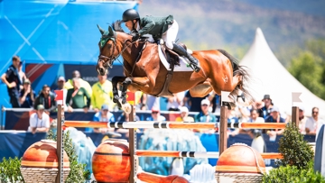 En novembre à Santiago du Chili, le Brésilien Stephan de Freitas Barcha et Chevaux Primavera Imperio Egipcio ont été sacrés champions panaméricains.