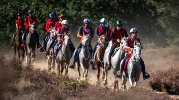L’an passé à Ermelo, la France a été sacrée championne d’Europe rien qu’avec des chevaux nés et formés dans l’Hexagone.