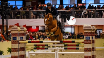 Ici au récent Salon des étalons de Saint-Lô, Ichaï de Reile a été acquis par Yann Carbonnet, qui a confié la commercialisation de sa semence au haras de Gravelotte.