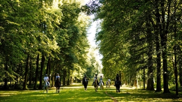 La Route Eiffel, une randonnée dans les allées verdoyantes du Bois de Boulogne