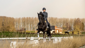 Flore de Winne a acquis ses propres installations à une cinquantaine de kilomètres à l’ouest de Bruxelles, où elle évolue avec Flynn, son cheval de tête