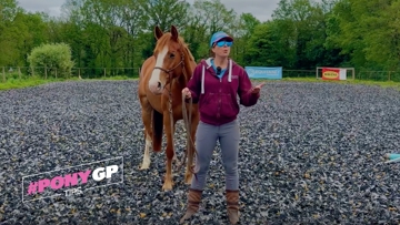Apprendre à capter l’attention de son cheval, grâce à Stéphanie de PonyCorn