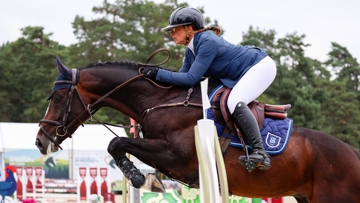 Illico de la Fontaine est en tête du championnat de France des entiers et hongres de six ans