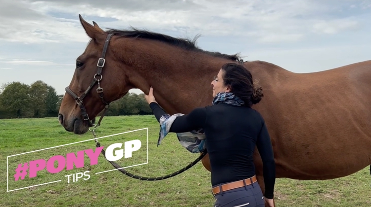 Comment aider un cheval qui tousse à mieux respirer grâce au massage, avec Stéphanie de PonyCorn 