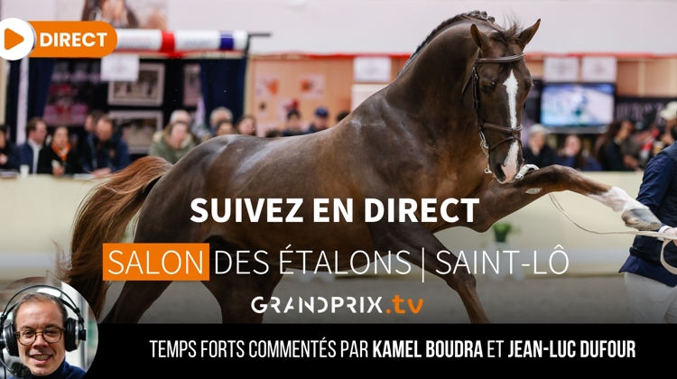 Suivez les Coupes du monde de Göteborg et le CHI de Doha sur ClipMyHorse.tv, ainsi que le Salon des étalons sur GRANDPRIX.tv