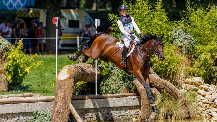 Sacré champion olympique avec Michael Jung, Chipmunk a pour grand-père maternel le Pur-sang Heraldik