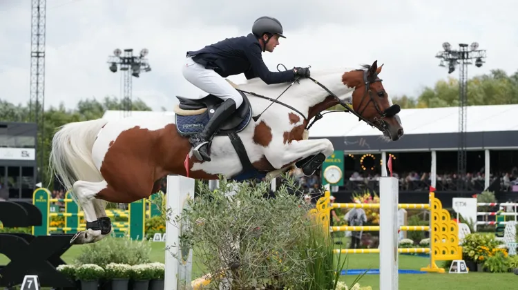 Ici à Bruxelles, l'Allemand Gerrit Nieberg et Ping Pong van de Lentamel ont remporté le Grand Prix du LGCT de Riesenbeck.