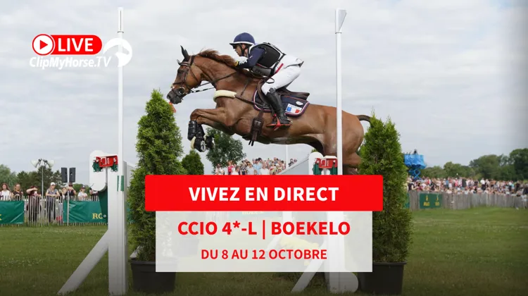 Le CCIO 4*-L de Boekelo est en direct sur ClipMyHorse.tv 