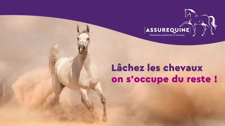 Lâchez les chevaux, AssurEquine s’occupe du reste !