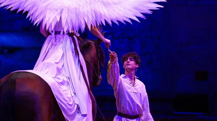 Le nouveau spectacle de la compagnie équestre de Chantilly met en scène le voyage initiatique d’Élio, un jeune maréchal-ferrant qui quitte son village pour partir à la recherche d’un fabuleux trésor.