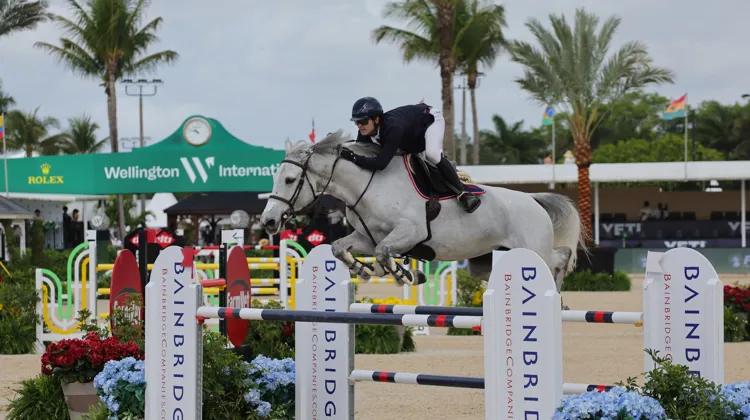 Luis Fernando Larrazabal et Feeling Chance s’entendent déjà très bien