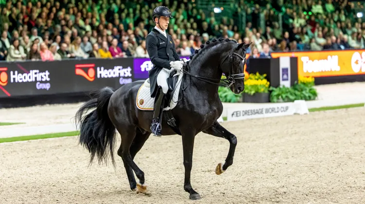 Cet après-midi, à Bois-le-Duc, Justin Verboomen s'est à nouveau imposé avec Zonik Plus.