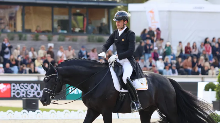 Justin Verboomen et Zonik Plus ont de nouveau brillé à Fontainebleau ce dimanche