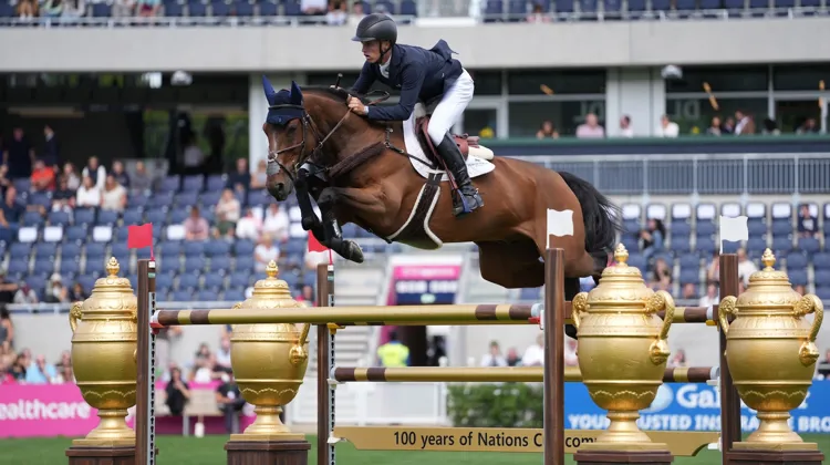 Max Wachman et Do It Easy ont remporté l'épreuve majeure de ce samedi au CSIO 5* de Dublin.