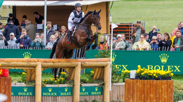 À dix-huit ans, Chipmunk*fischer a déjà participé à sept grands championnats sous la selle de l'Allemand Michael Jung.