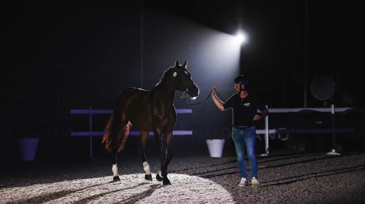 Hier, Kelmage Kalone a été adjugé à 1,1 million d'euros, établissant un nouveau record pour les ventes Fences