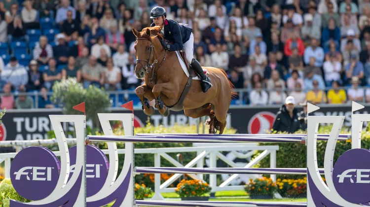 Selon Éric Louradour, une assiette légère, mobile et disponible lie nombre de cavaliers de saut d'obstacles.