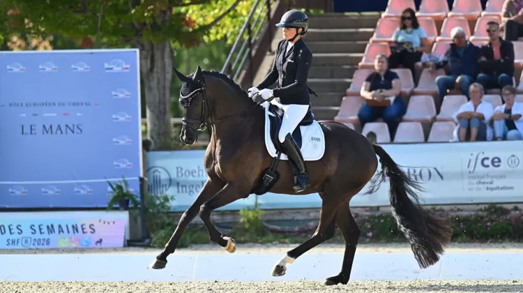 Miami Vice de Hus a été sacré champion de France des chevaux de quatre ans.