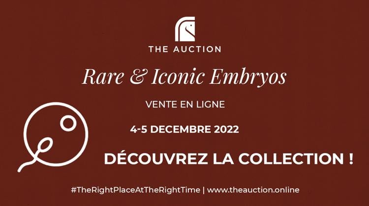 The Auction dévoile une collection exceptionnelle pour sa vente "rare & iconic embryos", du 4 au 5 décembre!