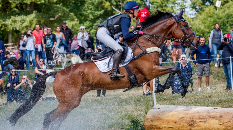 À l’occasion des championnats d’Europe de concours complet, le Haras du Pin devrait vivre une grande page de son histoire sportive.