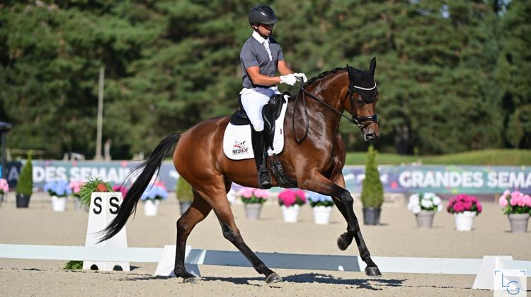 Betty Boop du Neuhof est la nouvelle championne de France des chevaux de dressage de quatre ans