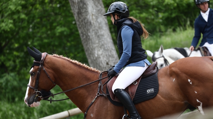 93 % des cavaliers mettent systématiquement leur casque dès qu’ils montent à cheval