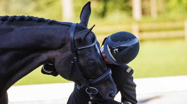 Évoluant sous la selle de Pauline Basquin depuis ses trois ans, Sertorius de Rima*IFCE est à l’aube de ses premiers Jeux olympiques.