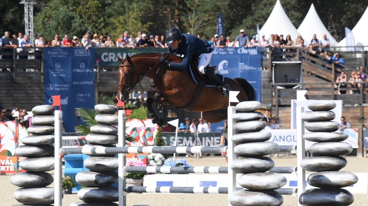 En septembre dernier, Idagio d’Ellipse a été sacré dans le championnat de France des chevaux de cinq ans à Fontainebleau, sous la selle de Robin Le Squeren.