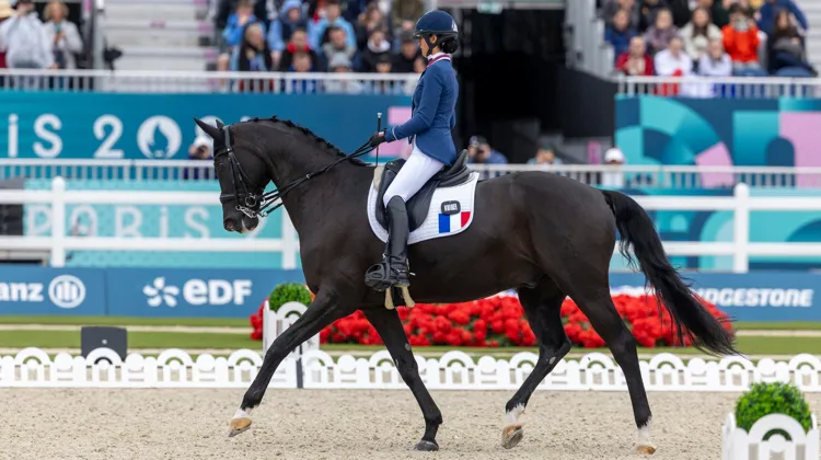 Chiara Zenati et Swing Royal*IFCE sur la piste de Versailles